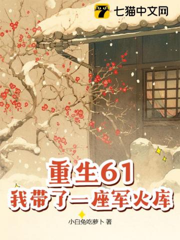 重生61，我带了一座军火库